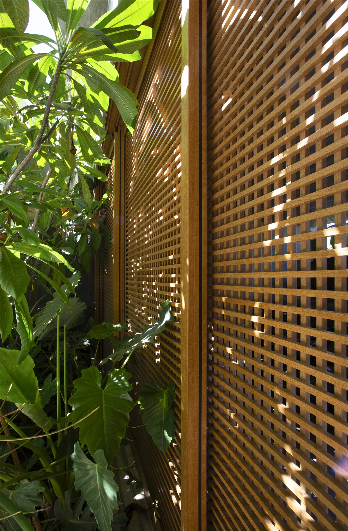 Detalhe dos muxarabis e do jardim — Casa Supremo Itália